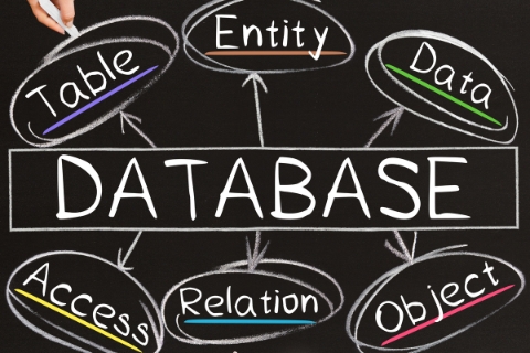 Database Management